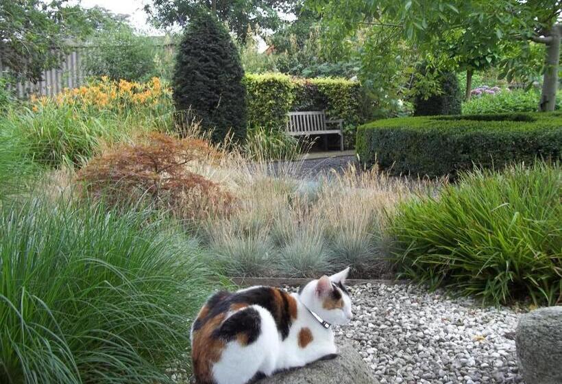 مبيت وإفطار T Griene Hemeltsje