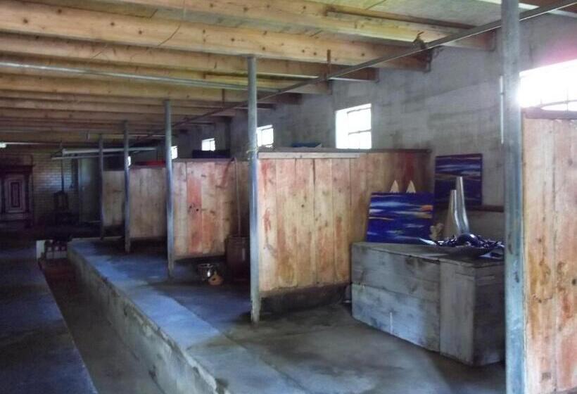 مبيت وإفطار T Griene Hemeltsje