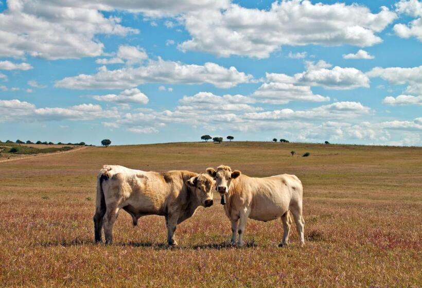 هتل O Monte Do Alhinho   Turismo Rural
