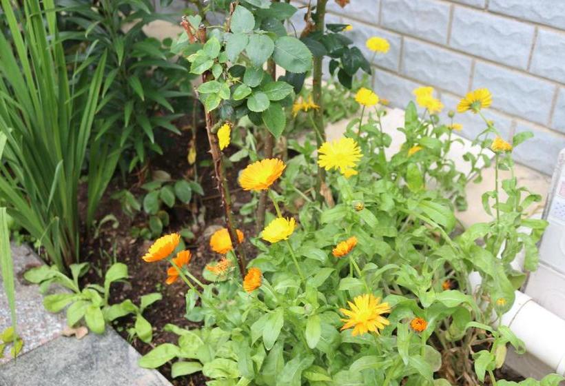 هاستل Shangajoy Seasons Inn