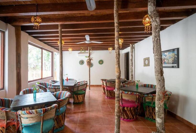 Ecovergel Hotel Riviera Maya