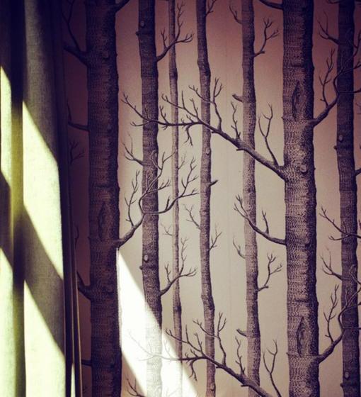 هتل The Vitality Inn