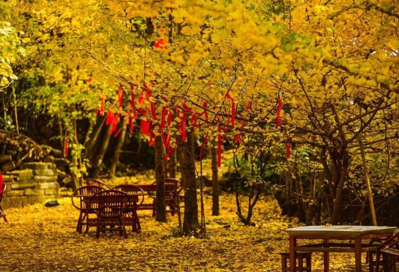 استراحتگاه Banyan Tree Tengchong