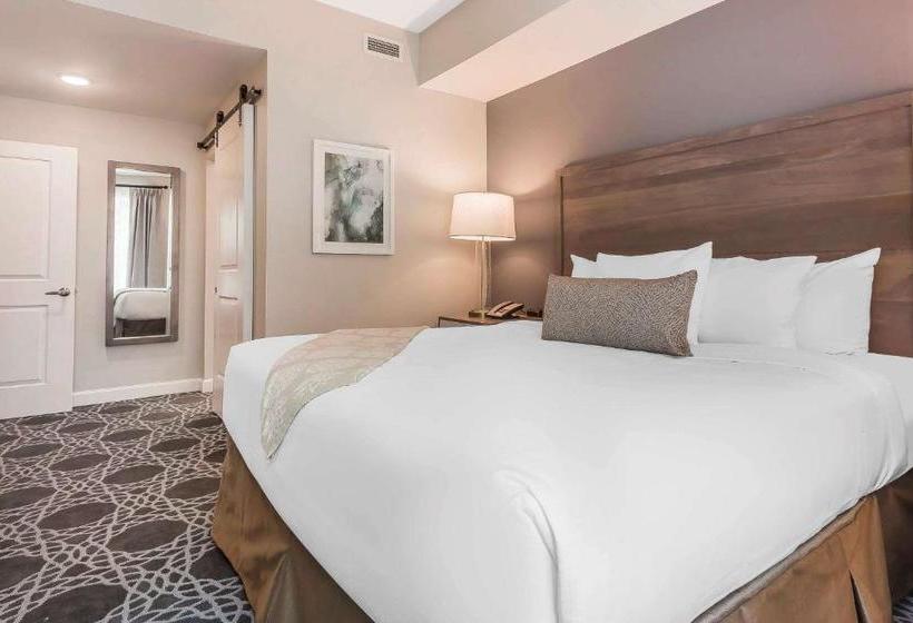 בית מלון כפרי King 583