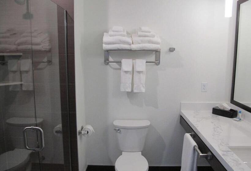 호텔 Best Western Plus Peppertree Nampa Civic Center Inn