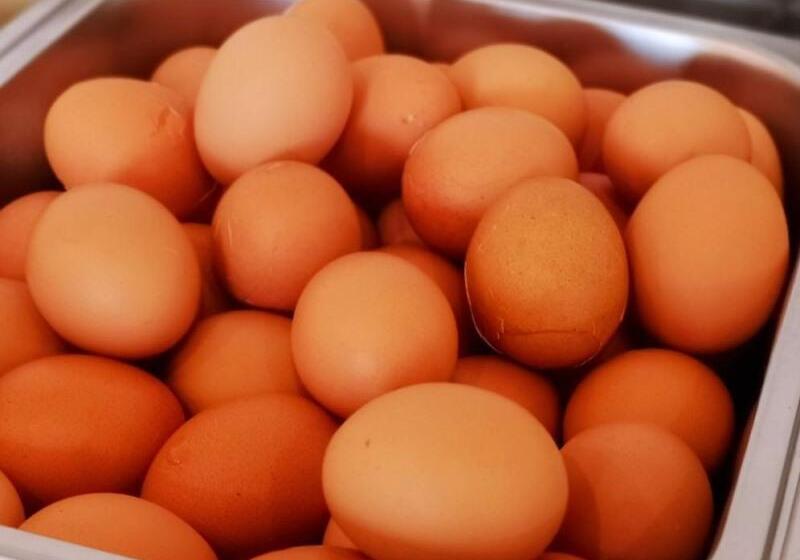 호텔 Greentree Inn Shanghai West Huaxia Road Metro Station Express