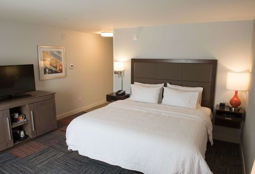 فندق Hampton Inn & Suites Bay City