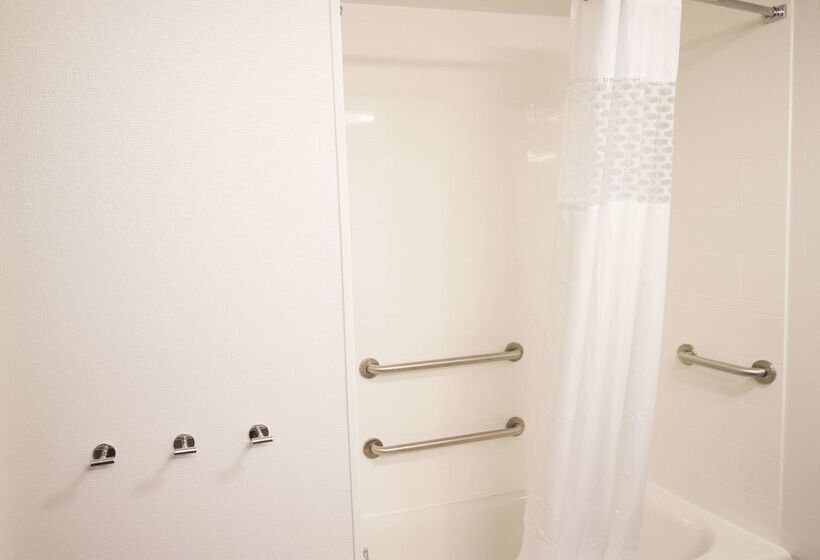 هتل Hampton Inn Decatur Mt. Zion