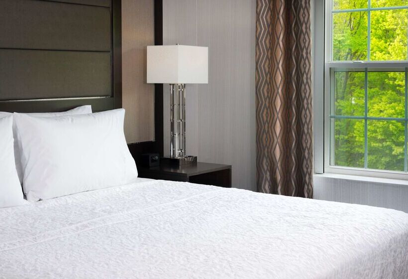 فندق Hampton Inn & Suites Bridgewater