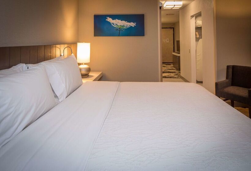هتل Hilton Garden Inn Pittsburgh Airport