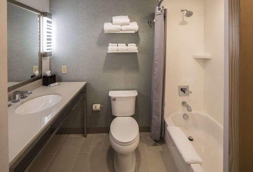 هتل Hilton Garden Inn Pittsburgh Airport