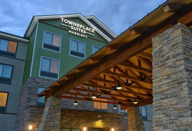 Отель Towneplace Suites By Marriott Denver South/lone Tree
