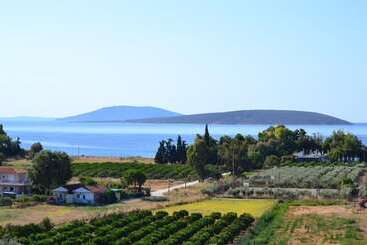 Alexandros Apartments