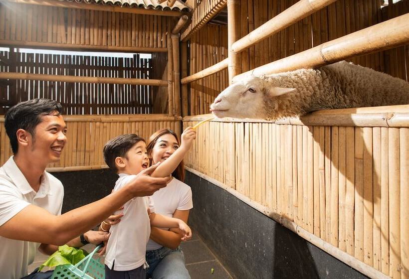 Fotos del hotel Grand Tjokro Premiere Bandung:  23