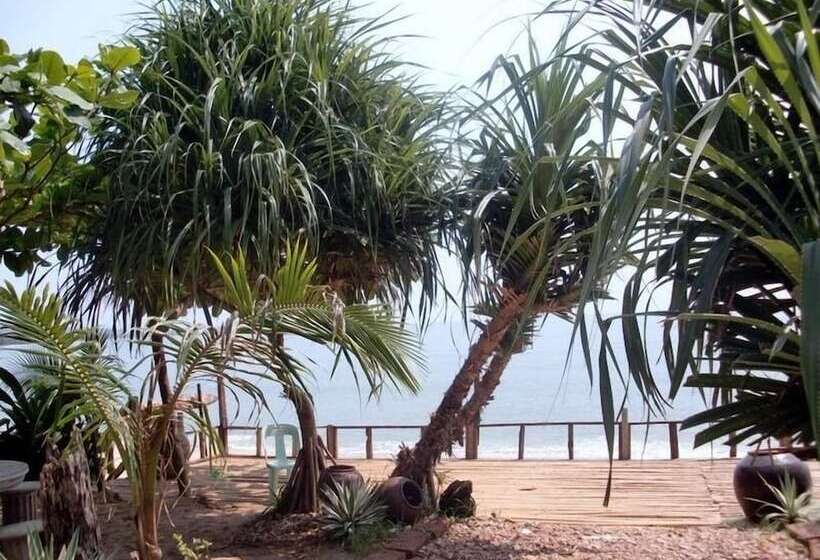 ホテル Jungle Bay Resort