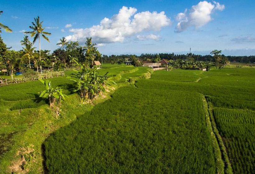 Fotos del hotel Omah Apik:  40