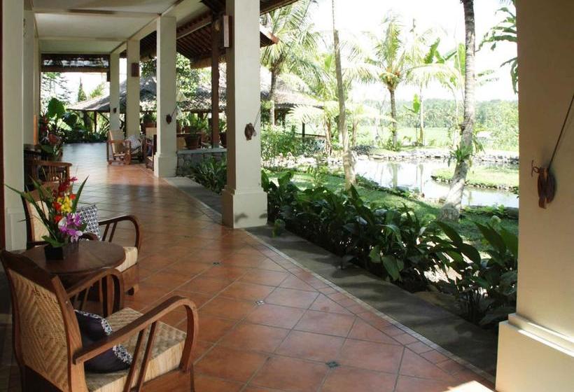 Fotos del hotel Omah Apik:  4