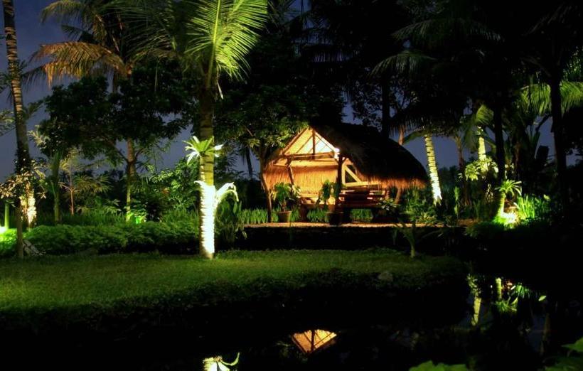 Fotos del hotel Omah Apik:  8