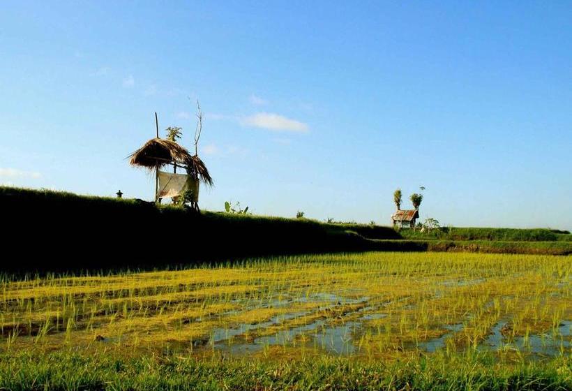 Fotos del hotel Omah Apik:  18