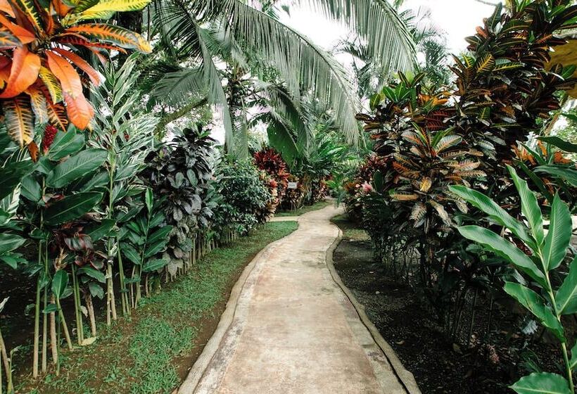 هتل Orquideas Boutique