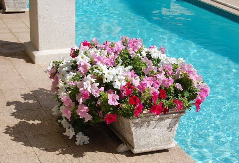 پانسیون Sandals Guest House