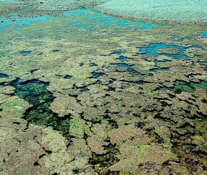 پانسیون Skourgias Rooms