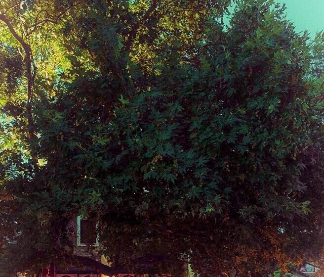 پانسیون Skourgias Rooms