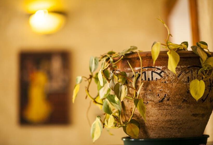 Hotel Cristóbal Colón