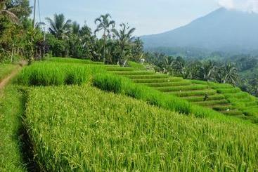 هتل Zen Rooms Hang Tuah Sanur