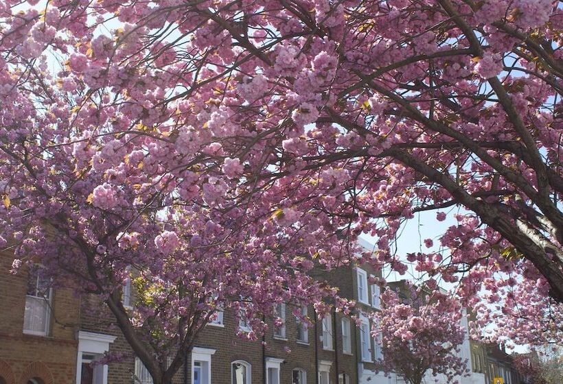 Kensington Olympia Apartments