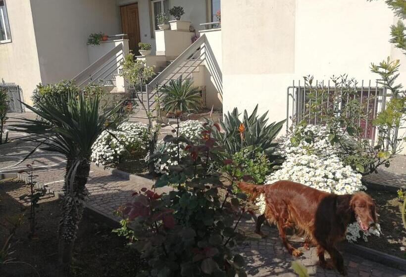 تختخواب و صبحانه Area Domus