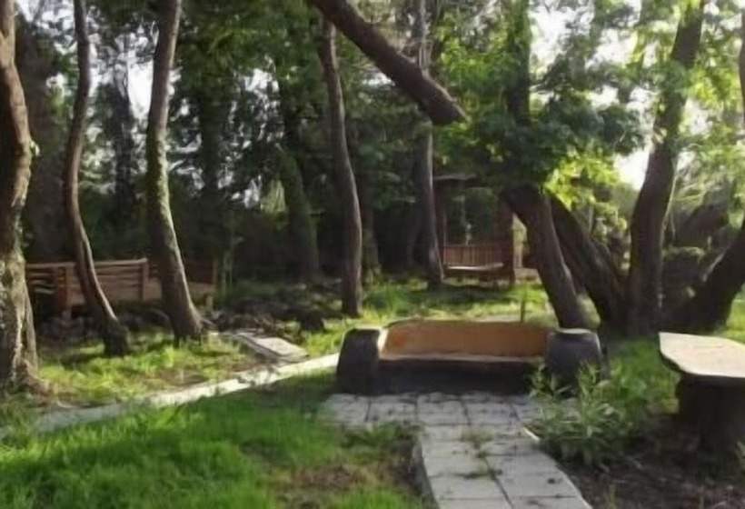 酒店 Katrancı Park