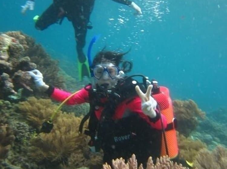 تختخواب و صبحانه Larantuka Beach Apartments