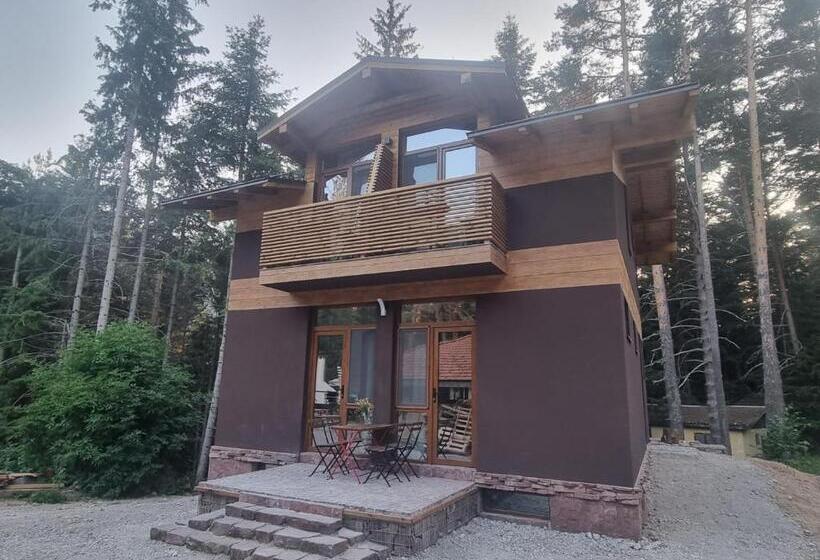 هتل Restaurant 6ato Rila