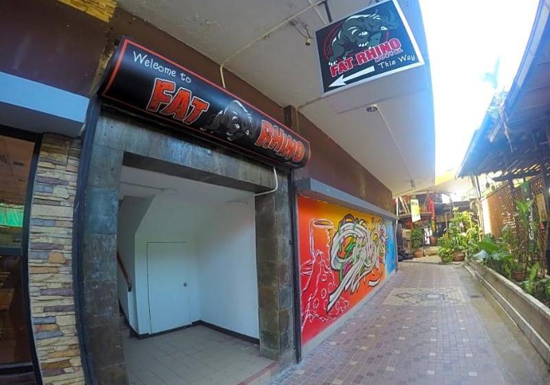 Fat Rhino Hostel
