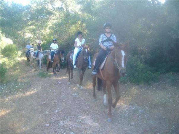 هتل Apollon