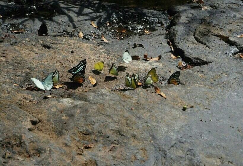 فندق Jungle Koh Kood Resort