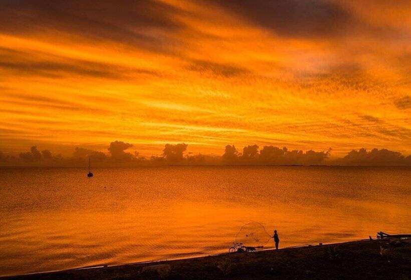 בית מלון כפרי Pelican Beach Resort - Dangriga