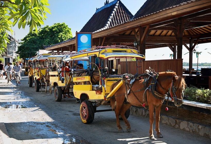 هتل Pinkcoco Gili Trawangan   Constant Surprises   For Cool Adults Only