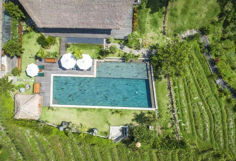 Отель Villa Kropak