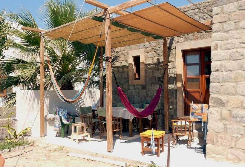 Villa Patmos Netia