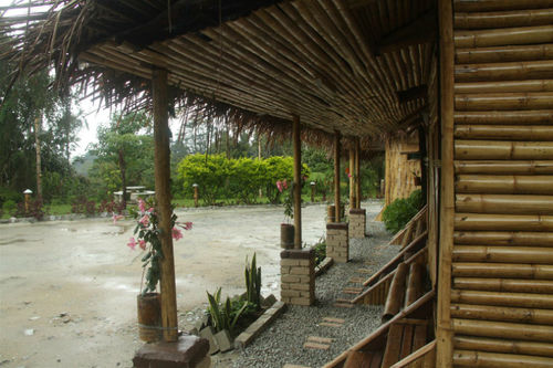 De  Native Guest House  Hostel