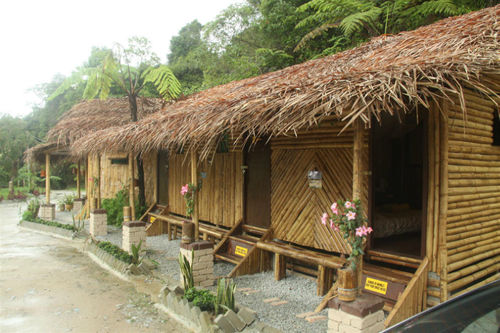 De  Native Guest House  Hostel