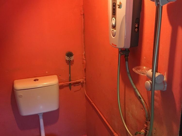 De  Native Guest House  Hostel