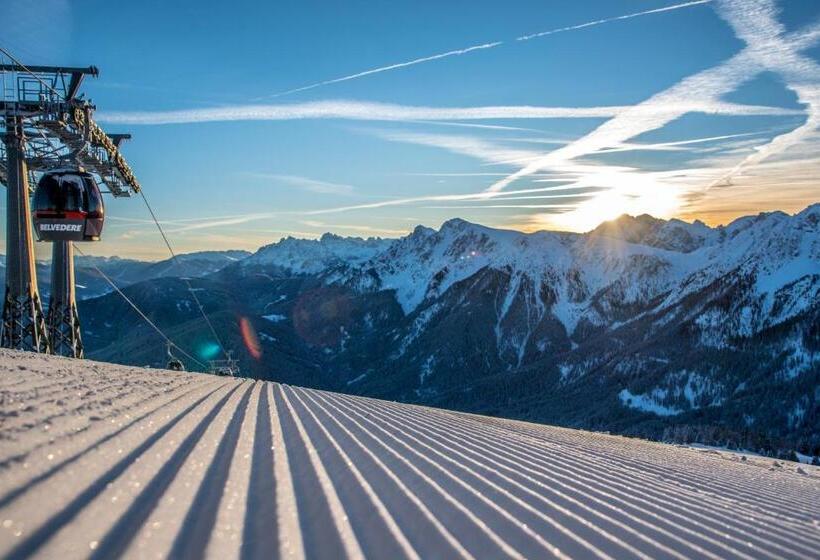 בית מלון כפרי Erika