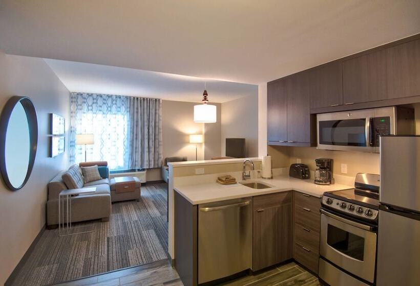 Fotos del hotel Towneplace Suites By Marriott Miami Airport:  48