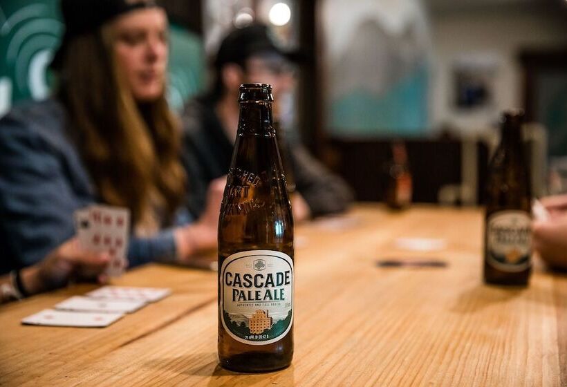 هاستل The Pickled Frog