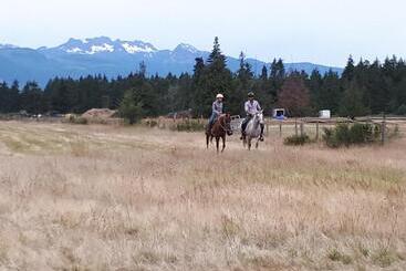 تختخواب و صبحانه Paradise Acres Ranch