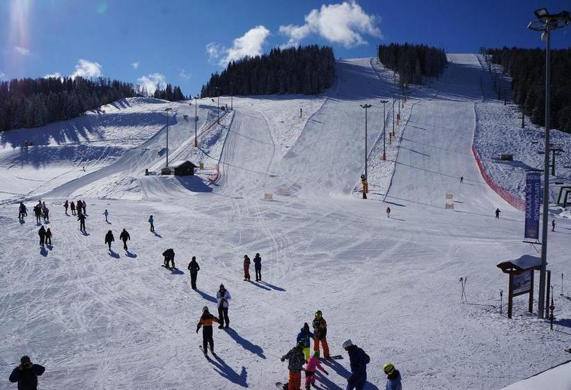 فندق Albergo Passo Brocon