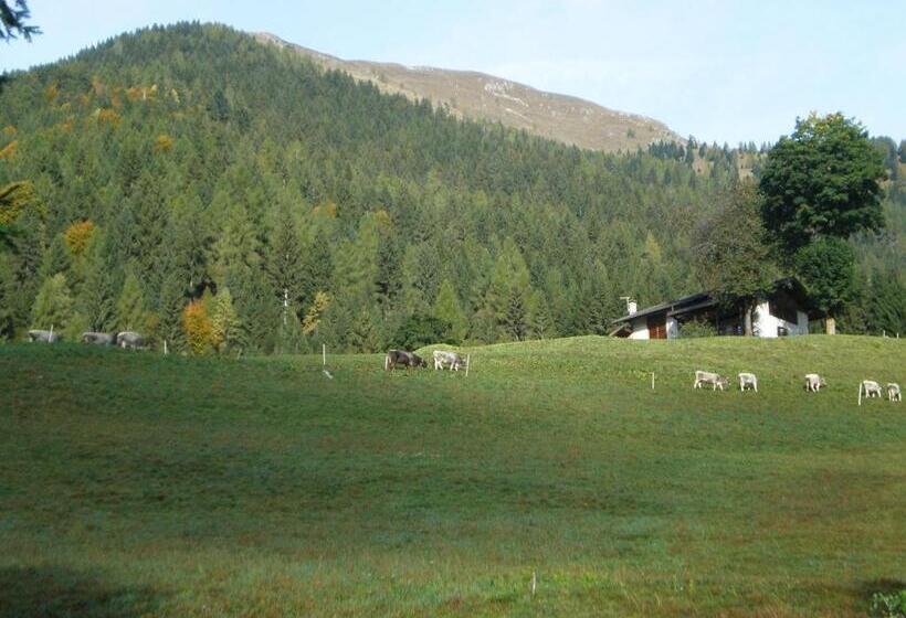 فندق Serenella